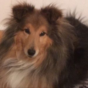 Meet your Posher, Michaela